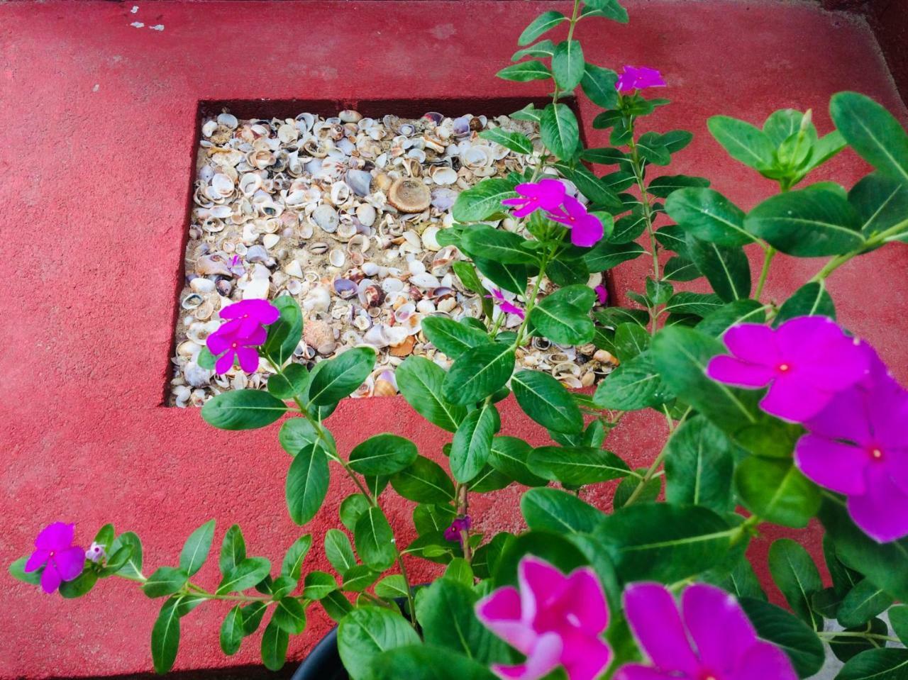 Tropicana Home Stay آروغام المظهر الخارجي الصورة