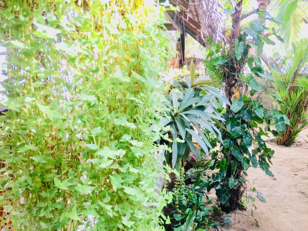 Tropicana Home Stay آروغام المظهر الخارجي الصورة
