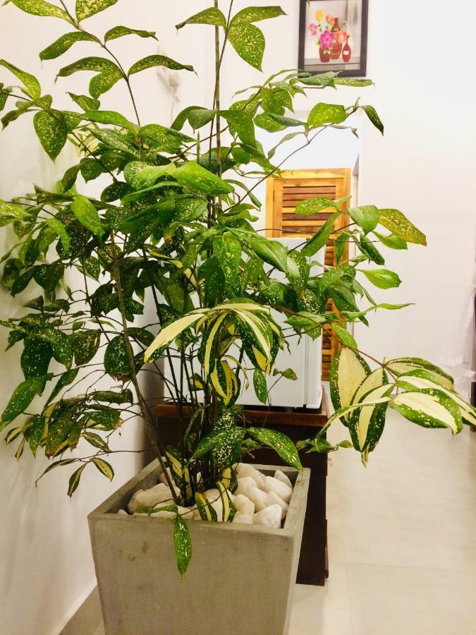 Tropicana Home Stay آروغام المظهر الخارجي الصورة
