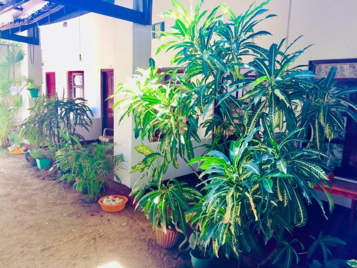 Tropicana Home Stay آروغام المظهر الخارجي الصورة