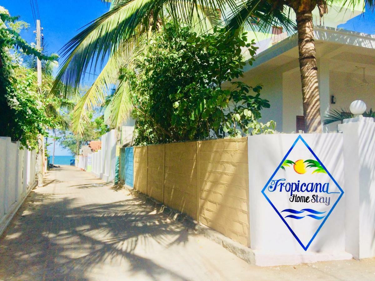 Tropicana Home Stay آروغام المظهر الخارجي الصورة